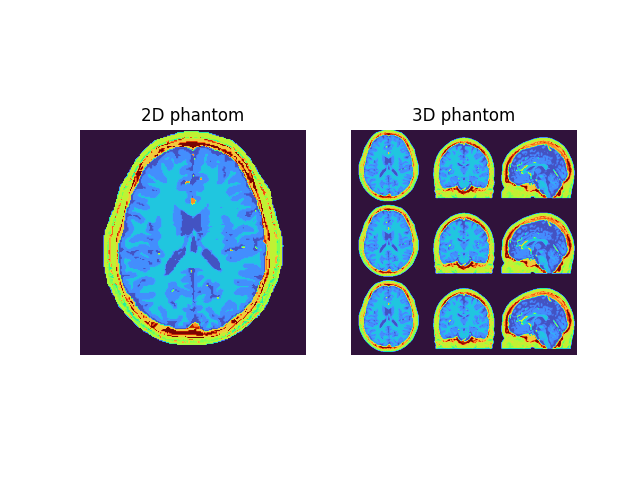 2D phantom, 3D phantom