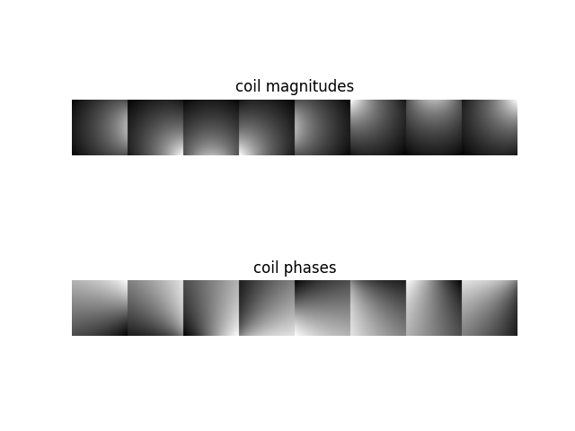 coil magnitudes, coil phases