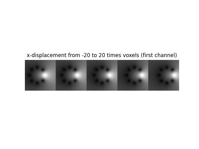 x-displacement from -20 to 20 times voxels (first channel)