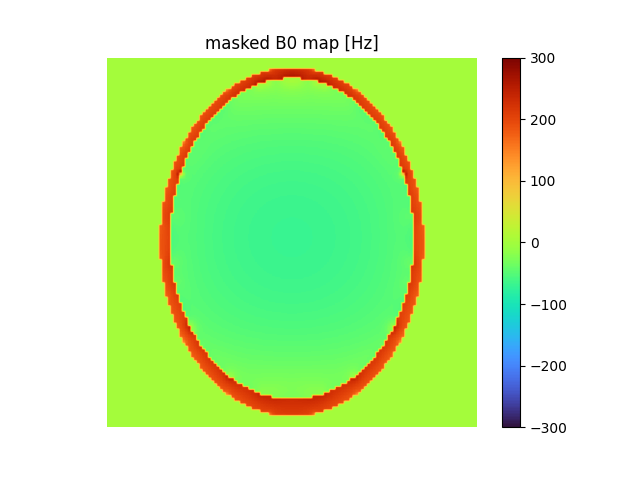 masked B0 map [Hz]